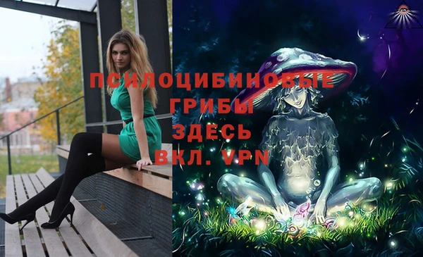 бошки Алзамай
